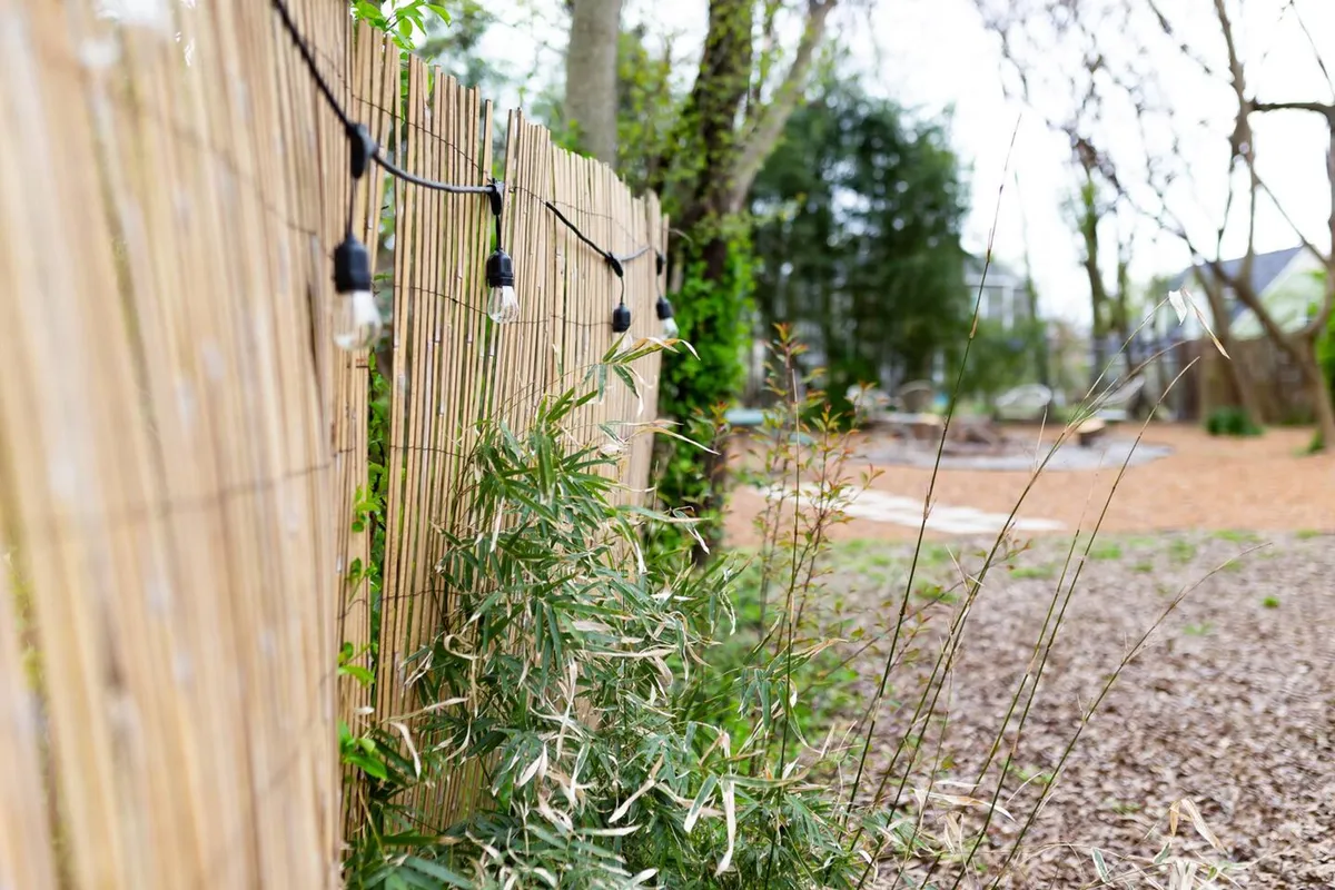 A bamboo fence encloses a backyard filled with hanging light bulbs and abundant greenery. The scene embodies peace and seclusion, offering an inviting setting for both daytime relaxation and starlit evening gatherings.